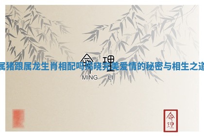 属猪跟属龙生肖相配吗揭晓完美爱情的秘密与相生之道
