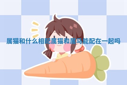 属猫和什么相配 属猫和属马能配在一起吗