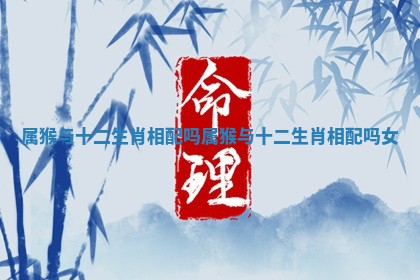 属猴与十二生肖相配吗 属猴与十二生肖相配吗女 属猴与十二生肖相配吗 属猴与十二生肖相配吗女