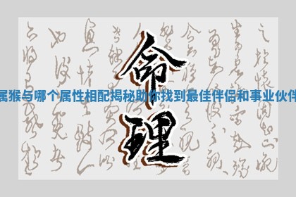 属猴与哪个属性相配揭秘助你找到最佳伴侣和事业伙伴