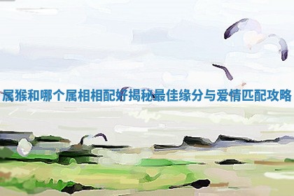 属猴和哪个属相相配好揭秘最佳缘分与爱情匹配攻略