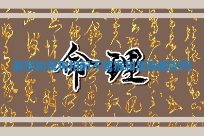 属猴和属狗相配不 属猴和属狗般配吗