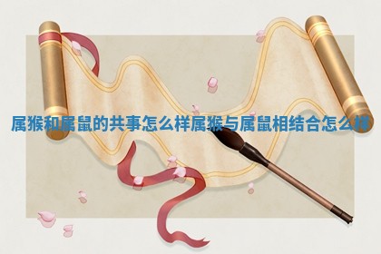 属猴和属鼠的共事怎么样_属猴与属鼠相结合怎么样 属猴和属鼠的共事怎么样_属猴与属鼠相结合怎么样