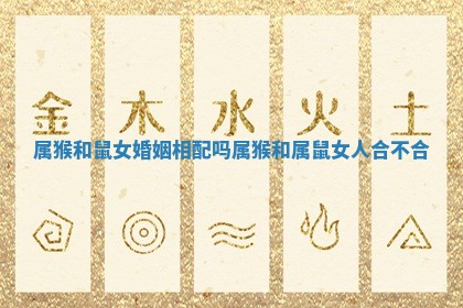 属猴和鼠女婚姻相配吗 属猴和属鼠女人合不合