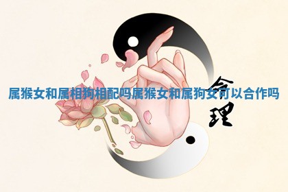 属猴女和属相狗相配吗 属猴女和属狗女可以合作吗