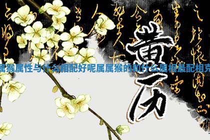 属猴属性与什么相配好呢_属属猴的和什么属相最配相克