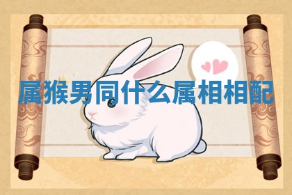 属猴男同什么属相相配_