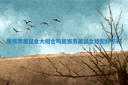 属猴男属鼠女大相合吗 属猴男属鼠女婚配好不好