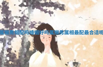 属猴男相配吗婚姻好吗 属猴男属相最配最合适呢