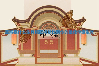 属猴跟什么生肖相配揭秘 找到你的最佳伴侣生肖