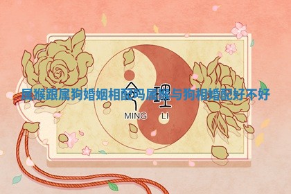 属猴跟属狗婚姻相配吗_属猴与狗相婚配好不好