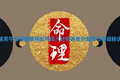 属男牛女猴婚姻相配吗深入分析两者的爱情与和谐秘诀