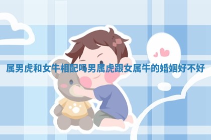 属男虎和女牛相配吗 男属虎跟女属牛的婚姻好不好 属男虎和女牛相配吗 男属虎跟女属牛的婚姻好不好