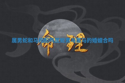 属男蛇和马相配吗 属蛇男与属马的婚姻合吗