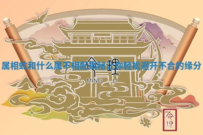 属相蛇和什么属不相配揭秘让你轻松避开不合的缘分 属相蛇和什么属不相配揭秘让你轻松避开不合的缘分