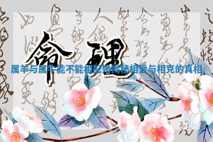 属羊与属牛能不能相配婚揭秘相爱与相克的真相