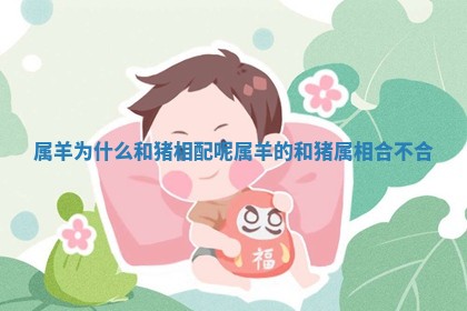 属羊为什么和猪相配呢 属羊的和猪属相合不合