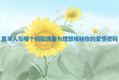 属羊人与哪个相配偶最为理想揭秘你的爱情密码