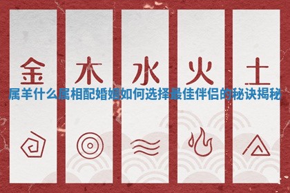 属羊什么属相配婚姻如何选择最佳伴侣的秘诀揭秘