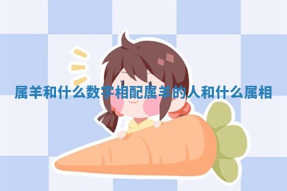 属羊和什么数字相配_属羊的人和什么属相 属羊和什么数字相配_属羊的人和什么属相