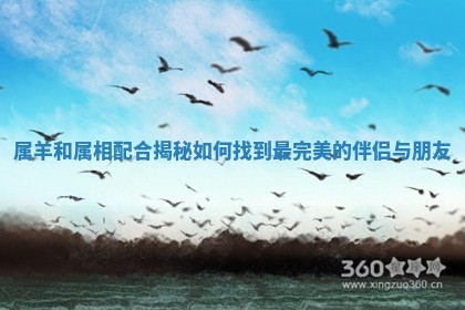 属羊和属相配合揭秘如何找到最完美的伴侣与朋友