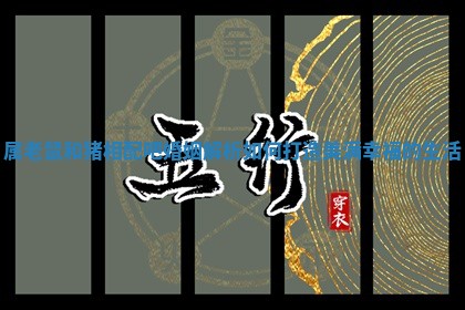 属老鼠和猪相配吧婚姻解析如何打造美满幸福的生活 属老鼠和猪相配吧婚姻解析如何打造美满幸福的生活