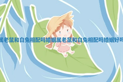 属老鼠和白兔相配吗婚姻_属老鼠和白兔相配吗婚姻好吗