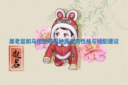属老鼠和马相配吗揭秘两者的性格与婚配建议