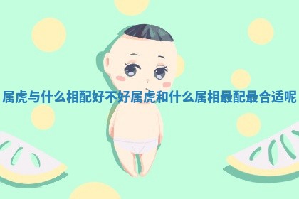 属虎与什么相配好不好 属虎和什么属相最配最合适呢