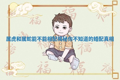 属虎和属蛇能不能相配揭秘你不知道的婚配真相