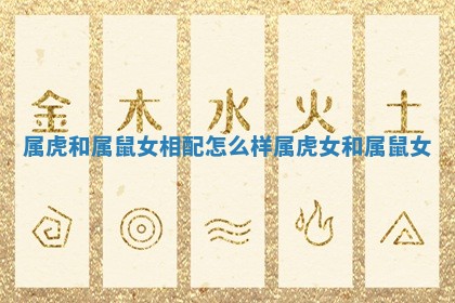 属虎和属鼠女相配怎么样_属虎女和属鼠女