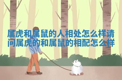 属虎和属鼠的人相处怎么样 请问属虎的和属鼠的相配怎么样 属虎和属鼠的人相处怎么样 请问属虎的和属鼠的相配怎么样