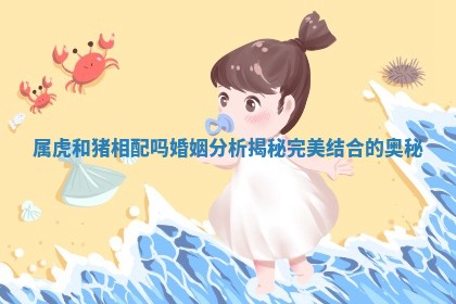 属虎和猪相配吗婚姻分析揭秘完美结合的奥秘