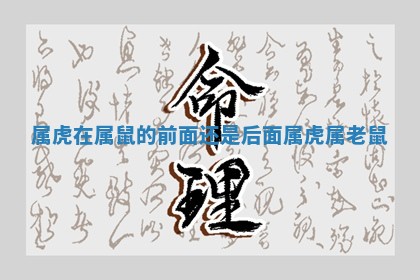 属虎在属鼠的前面还是后面 属虎属老鼠