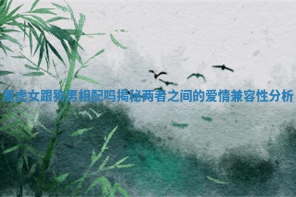 属虎女跟狗男相配吗揭秘两者之间的爱情兼容性分析