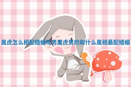 属虎怎么相配婚姻呢男_属虎男的和什么属相最配婚姻