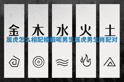 属虎怎么相配婚姻呢男生 属虎男生肖配对