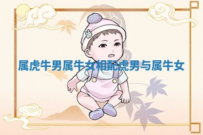 属虎牛男属牛女相配_虎男与属牛女