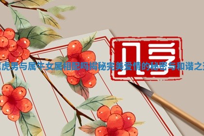 属虎男与属牛女属相配吗揭秘完美爱情的秘密与和谐之道