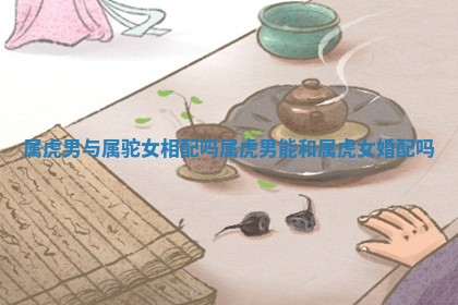 属虎男与属驼女相配吗 属虎男能和属虎女婚配吗 属虎男与属驼女相配吗 属虎男能和属虎女婚配吗