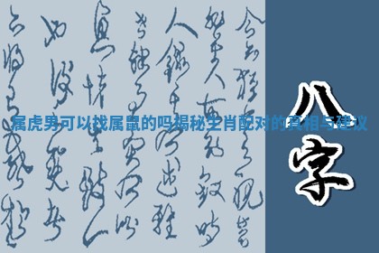 属虎男可以找属鼠的吗揭秘生肖配对的真相与建议