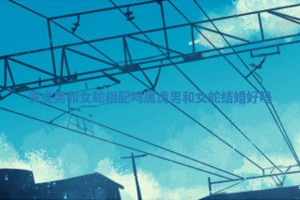 属虎男和女蛇相配吗 属虎男和女蛇结婚好吗