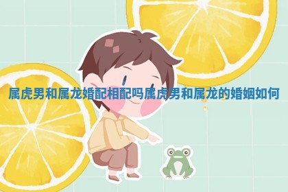 属虎男和属龙婚配相配吗 属虎男和属龙的婚姻如何