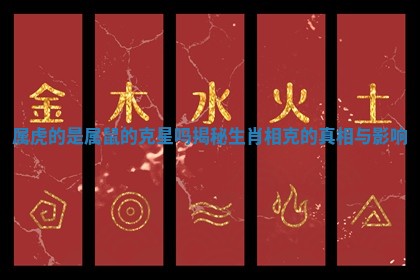 属虎的是属鼠的克星吗揭秘生肖相克的真相与影响 属虎的是属鼠的克星吗揭秘生肖相克的真相与影响