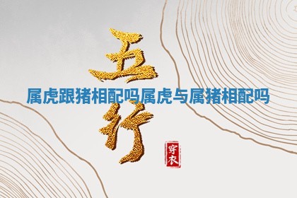 属虎跟猪相配吗_属虎与属猪相配吗