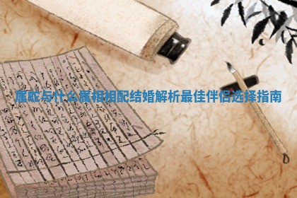 属蛇与什么属相相配结婚解析最佳伴侣选择指南