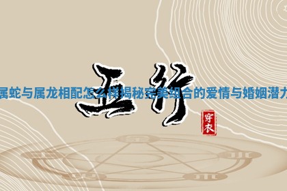 属蛇与属龙相配怎么样揭秘完美组合的爱情与婚姻潜力