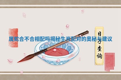 属蛇合不合相配吗揭秘生肖配对的奥秘与建议