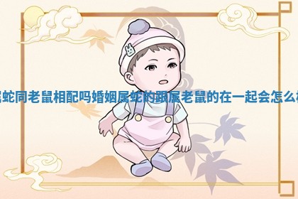 属蛇同老鼠相配吗婚姻_属蛇的跟属老鼠的在一起会怎么样