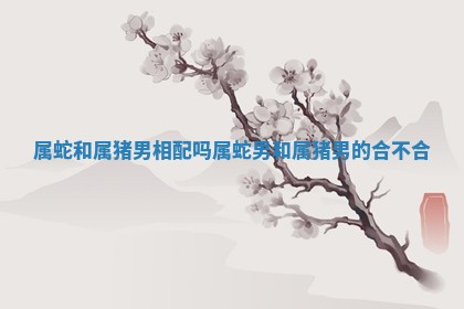 属蛇和属猪男相配吗_属蛇男和属猪男的合不合